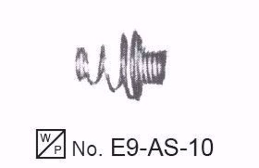 Picture of TERM - RAJAH (1000 PK)