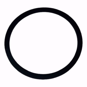 Picture of H-289F VOLUTE BODY GASKET TO FIT HOFFMAN PUMP