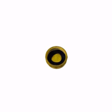 Picture of HC-305 HOSE CAP WITH GASKET