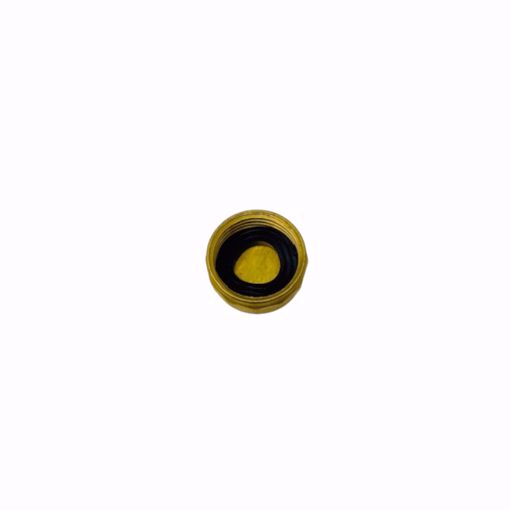 Picture of HC-305 HOSE CAP WITH GASKET