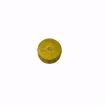 Picture of HC-305 HOSE CAP WITH GASKET