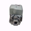 Picture of DIRECT IGNITION GAS VALVE. SLOW OPENING. 1/2 X 1/2 REG SETTI