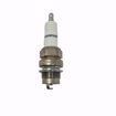 Picture of CHAMPION SPARK PLUG