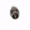 Picture of CHAMPION SPARK PLUG