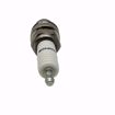 Picture of CHAMPION SPARK PLUG