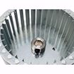 Picture of 3005788 FAN F10. 40 Series OIL. USED WITH F10 BURNERS. PARTS 40 Series GAS. USED WITH G400  BURNERS.