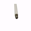 Picture of OIL IGNITION ELECTRODE