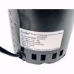 Picture of Elite EN148055 REPLACEMENT FOR REZNOR 115V VENT MOTOR 148055