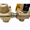 Picture of WATTS T1450F 1/2 IPS DUAL UNIT IRON SET12/30PSI