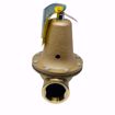 Picture of 0278030 0278030 174A PRESSURE RELIEF VALVE 2 IN 30PSI 3,815,000 BTU