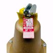 Picture of 0278030 0278030 174A PRESSURE RELIEF VALVE 2 IN 30PSI 3,815,000 BTU