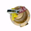 Picture of 0278030 0278030 174A PRESSURE RELIEF VALVE 2 IN 30PSI 3,815,000 BTU