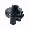 Picture of 0037105 WATTS 1 F&T STEAM TRAP 15 PSI MAX