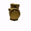 Picture of 0123496 1 INCH LFWCV CHECK VALVE