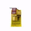 Picture of WATTS 335M2 3/4 FEMALE X 3/4 FEMALE RELIEF VALVE 30 PSI