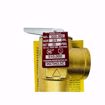 Picture of WATTS 335M2 3/4 FEMALE X 3/4 FEMALE RELIEF VALVE 30 PSI