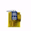 Picture of 3/4 INCH RELIEF VALVE M335-M2 510,000 BTU