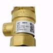 Picture of 0063192 3/4   BBFP, BRONZE BACKFLOW PREVENTER