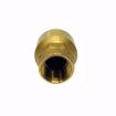 Picture of EN60030 ELITE 3/4 INCH NPT FULL BORE CHECK VALVE FOR OIL