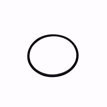 Picture of H-144 O-RING FOR SMALL HAYWOOD STRAINER
