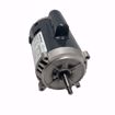 Picture of C329 C329 1/3HP, 1PH, 115/230V, 3450RPM Motor