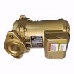 Picture of 1BL013LF Bell & Gossett 1BL013 Lead Free PL30B 1/12 HP 115 Volt Single Phase Bronze Pump