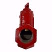 Picture of 107019 Bell & Gossett 107019 SA-1-1/4 1-1/4" NPT Cast Iron Flow Control Valve (Straight or Angle Flow Check Valve)