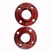 Picture of 101215 BELL & GOSSETT PAIR OF 2" IRON FLANGES WITH FASTNER PACKAGE