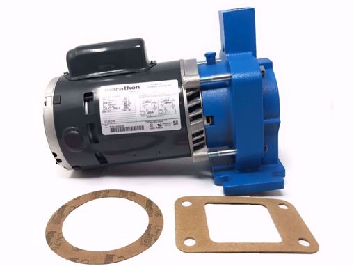 Picture of PUMP AND MOTOR ASSEMBLY 1/3 HP 115/230V 1 PH FOR 180001