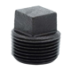 Picture of 1 BLACK SQUARE HEAD PLUG