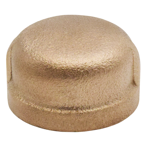 Picture of 1 BRONZE CAP NO LEAD