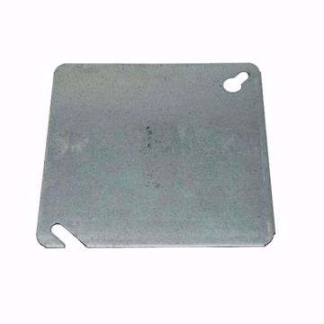 Picture of BLANK PLATE