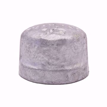 Picture of 1 GALVANIZED CAP