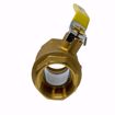 Picture of 1 1/4 IPS FP BR BL VALVE W/IPS HOLE, 4172