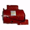 Picture of 169228 Bell & Gossett 169228 Ball Bearing Motor 1/2 HP, 115/230 V, 1 PH, 1725 RPM