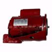 Picture of 169228 Bell & Gossett 169228 Ball Bearing Motor 1/2 HP, 115/230 V, 1 PH, 1725 RPM