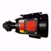 Picture of SPM SERIES SUPPLY PUMPS, 115 MOTOR VOLTAGE, 1/4 MOTOR