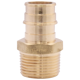 Picture of 1 NL 1960 X 3/4 MPT ADAPTER