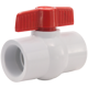 Picture of 1 S-600 PVC BALL VALVE-NSF