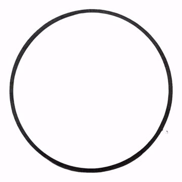 Picture of P57410 BELL & GOSSETT GASKET