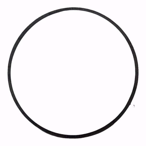 Picture of P57410 BELL & GOSSETT GASKET