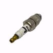 Picture of SPARK PLUG