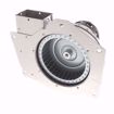 Picture of FASCO COMPLETE BLOWER ASSEMBLY WITH 120V 1-.35AMP 2 SPEED S.