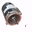 Picture of 1/3 HP 3450 RPM 56C 115/230V MOTOR