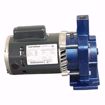 Picture of EN180001 ELITE PUMP AND MOTOR ASSEMBLY 1/3 HP 115/230V 1 PH FOR 180001