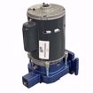 Picture of EN180001 ELITE PUMP AND MOTOR ASSEMBLY 1/3 HP 115/230V 1 PH FOR 180001