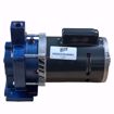 Picture of EN180001 ELITE PUMP AND MOTOR ASSEMBLY 1/3 HP 115/230V 1 PH FOR 180001