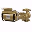 Picture of 106197LF Bell & Gossett 106197LF Lead Free 100 BNFI (All Bronze) Circulator. 1/12HP 115V 1725RPM