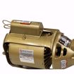 Picture of 106197LF Bell & Gossett 106197LF Lead Free 100 BNFI (All Bronze) Circulator. 1/12HP 115V 1725RPM