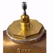 Picture of TWO-WAY GLOBE 3 IN (FEMALE) NPT 100 CV WATER OR GLYCOL